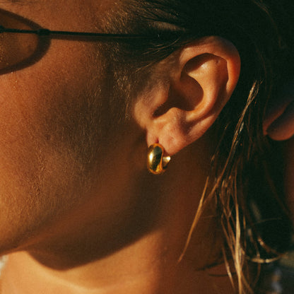 Bahama Bold Earrings